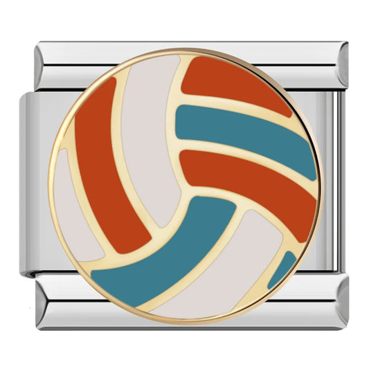 Volleyball - Silver Charm