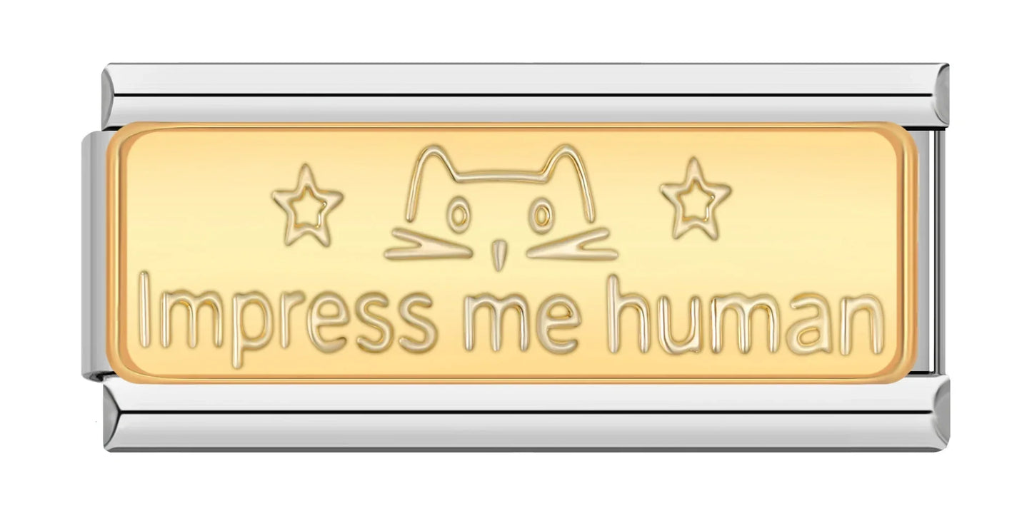 Impress me human - Silver Bar Charm